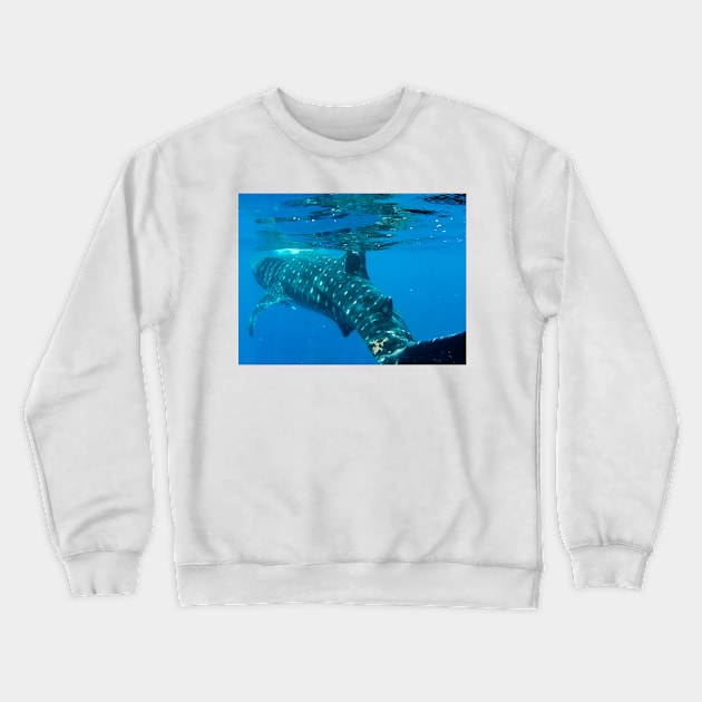 Whale Shark Caribbean Snorkel Swim Crewneck Sweatshirt by SafariByMarisa